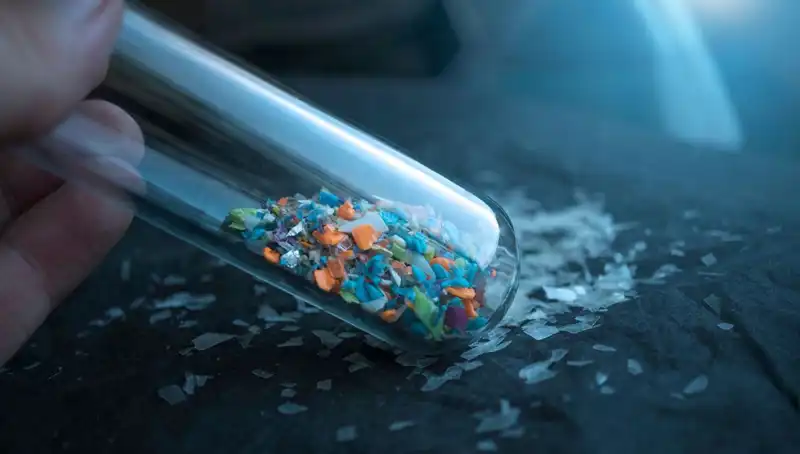 Mikroplastikler İnsan Beynine Ulaşıyor: Sağlığımızı Tehdit Eden Sonuçlar Neler?