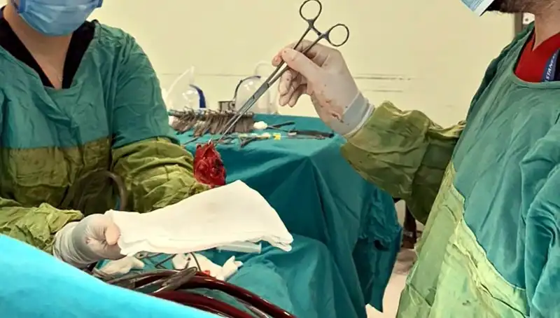 Kalp Kapağı Çürüyen Hastaya 7 Saat Süren Ameliyat: Mucizevi Sonuç