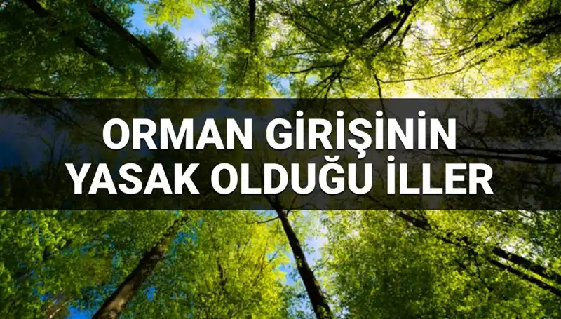 2025'te Orman Girişine Yasaklanan İller: Hangi Yerler İhtiyaç Duyuldu?
