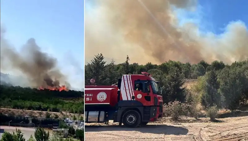 Gebze'de Kontrol Altına Alınan Orman Yangını Nedenleri ve Son Gelişmeler