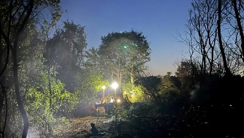 Edirne'deki Orman Yangını: Korkulan Oldu, Fakat Sonunda Başarıyla Söndürüldü