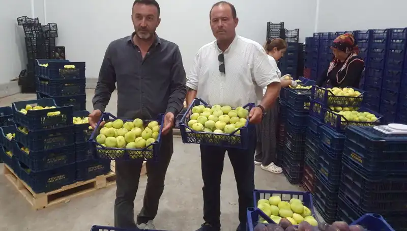 Mersinli Çiftçinin Yüzünü Güldüren Sektör: Tarım Fırsatları Artıyor