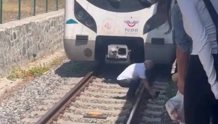 Raylar Üzerindeki Kedi, Marmaray Seferini Durdurdu!