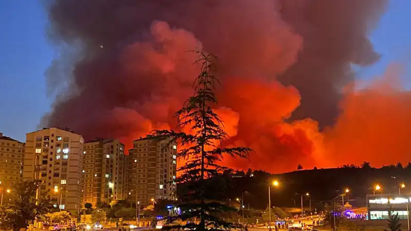 Bursa’da Yangınlar: Şehirdeki Korkutan Durum ve Son Gelişmeler